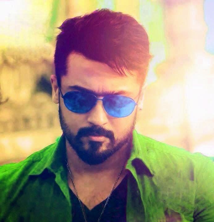 Lioness Define Lioness at Dictionarycom