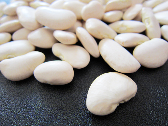 Are Fava Beans Lima Beans