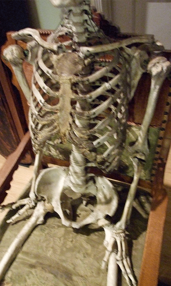 victorian skeleton