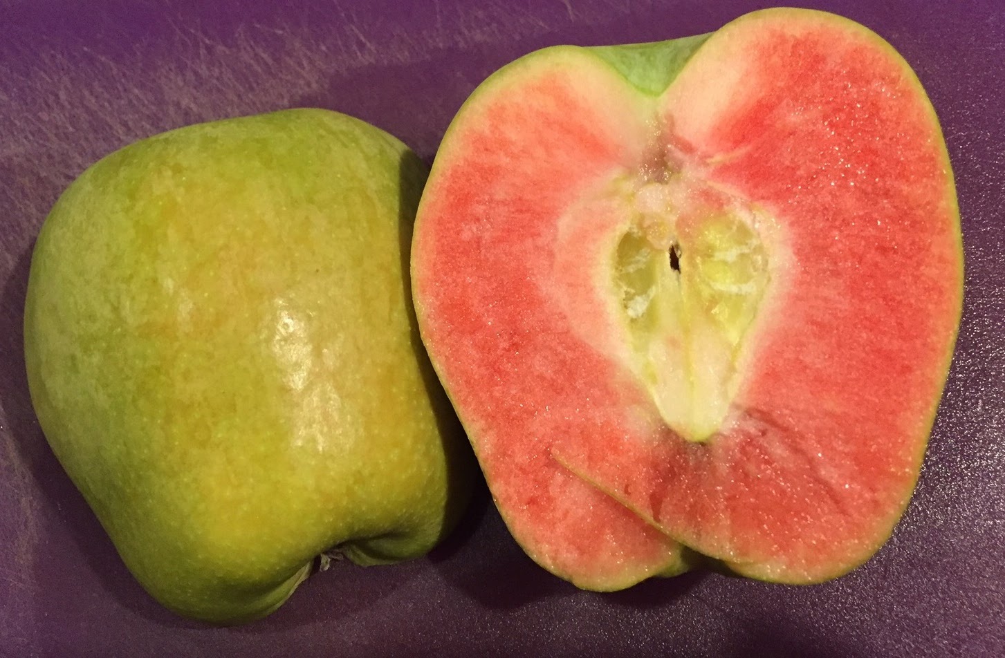 The Phytophactor Watermelon apple