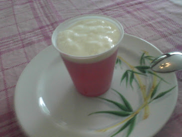 sobremesa: gelatina com 2 colheres de yogurte de mel