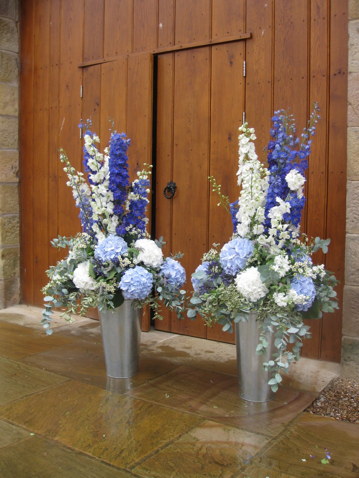 Laura Coleman Flowers Daisies in December, well, August actually