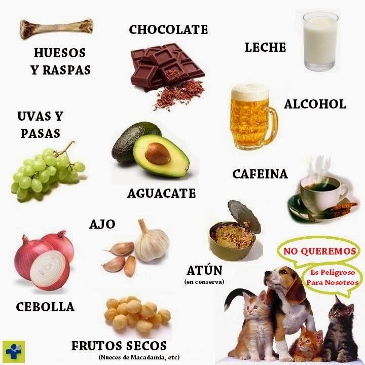 El ultratono a la eccema