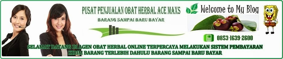 Obat TBC Tulang Herbal