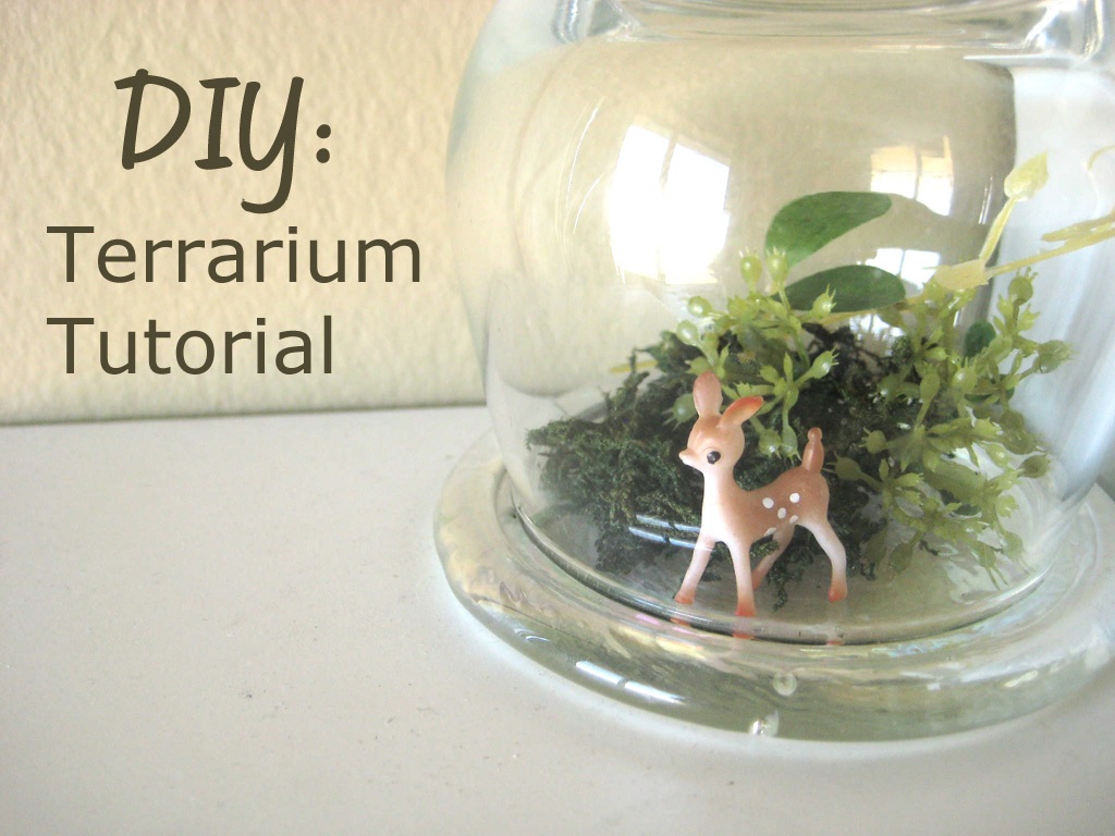 Little Nostalgia DIY Terrarium Tutorial