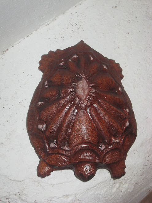 turtle, mahogany