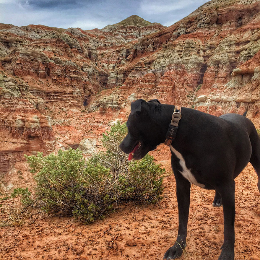 Beauty is everywhere if you know how to look - I Live In My Truck With My Dog And Travel Across The Country Beauty is everywhere if you know how to look - I Live In My Truck With My Dog And Travel Across The Country