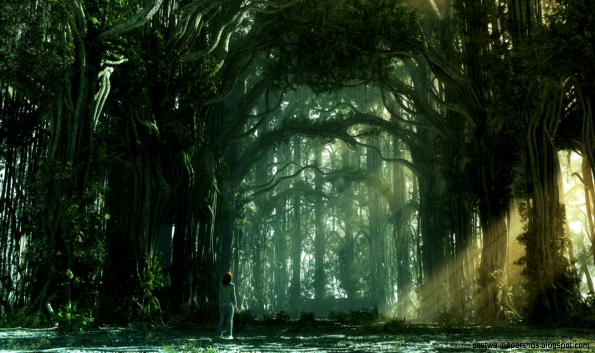 gustalva 50 Amazing Jungle Forest and Rainforest Artworks gustalva 50 Amazing Jungle Forest and Rainforest Artworks