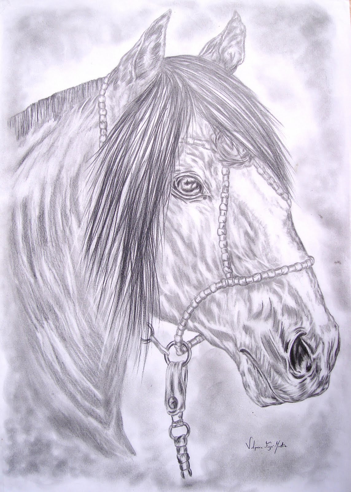Como desenhar uma cabeça de cavalo