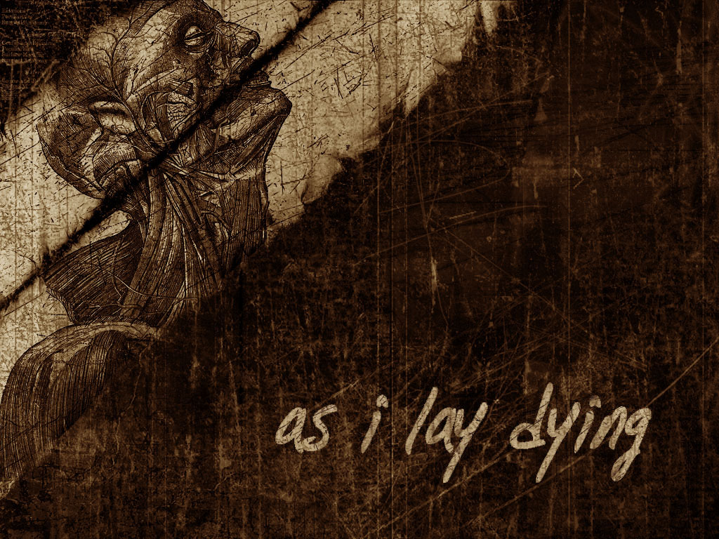 http://3.bp.blogspot.com/-yKLxqTdhgaM/TmB_a9A8PvI/AAAAAAAAErE/X2gB43ecmRM/s1600/As_I_Lay_Dying_Wallpaper__yvt2.jpg