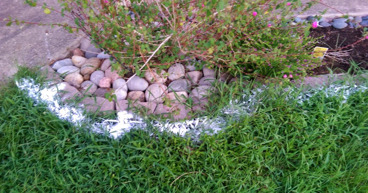 Gaia's Backyard Baking Soda as a Weed Killer