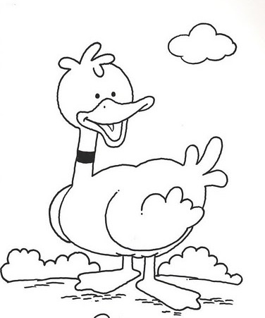Duck Coloring Pages Duck Coloring Pages