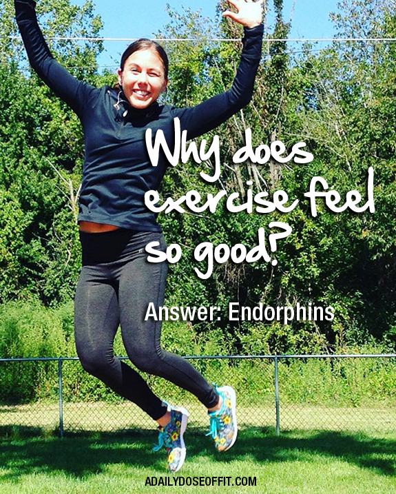A Daily Dose of Fit Why does exercise feel so good?