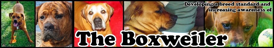 The Boxweiler