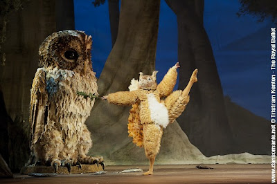Amputation of tail by an owl in a dream: unmistakably, a castration symbol.