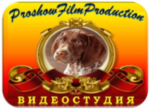 Студия "ProShowFilm Production"