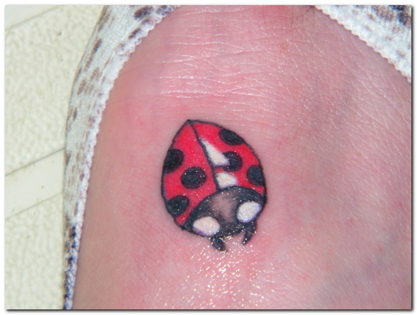 Ladybug Tattoos For Girls 