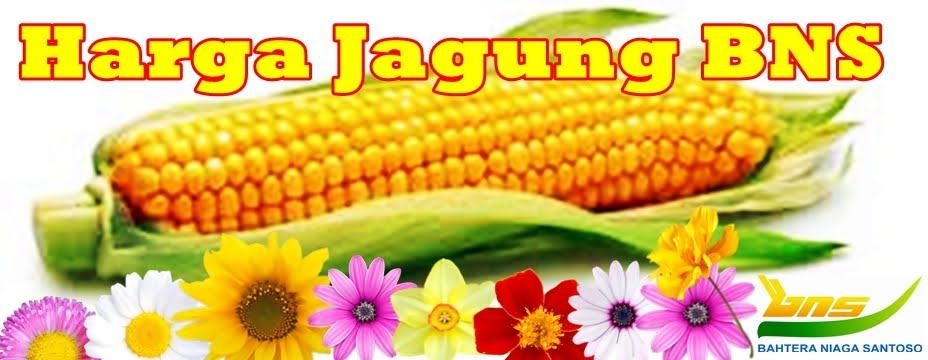 Harga Jagung BNS Indonesia