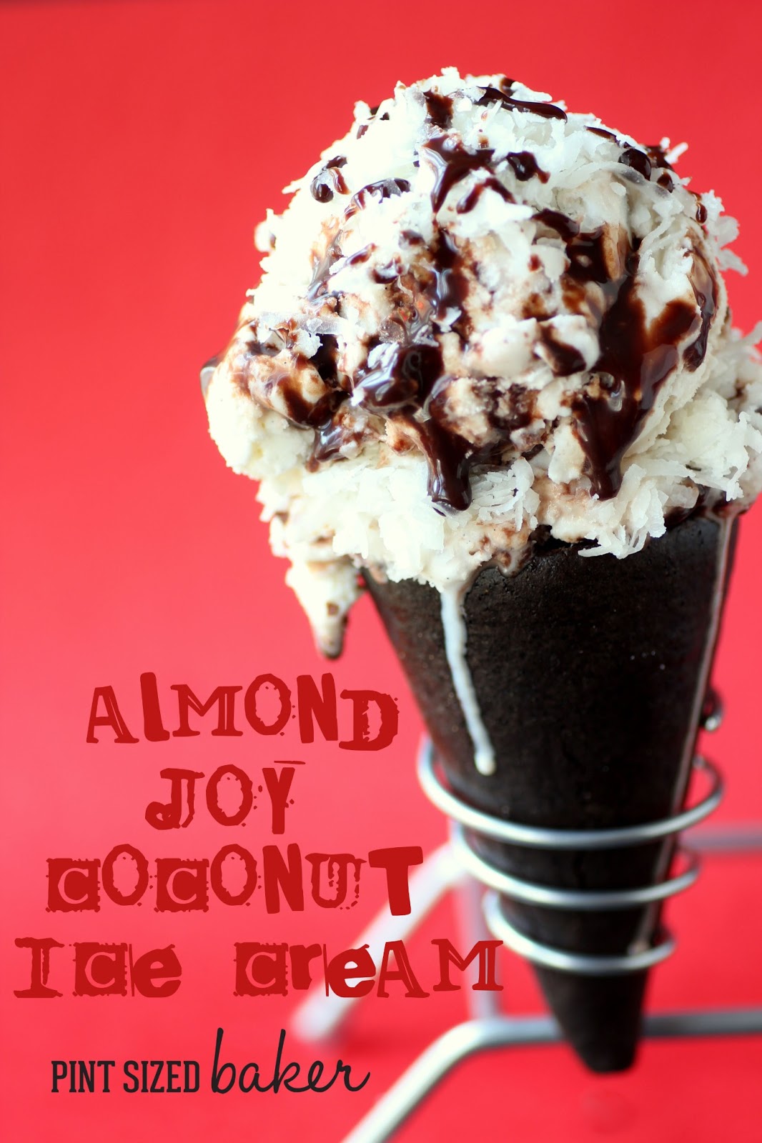 The Cone Guys Ice Cream Speciality Cones Pint Sized Baker