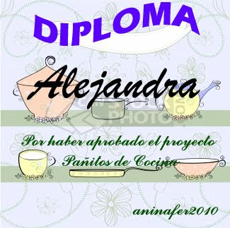 DIPLOMA PROYECTO: Pañitos de Cocina