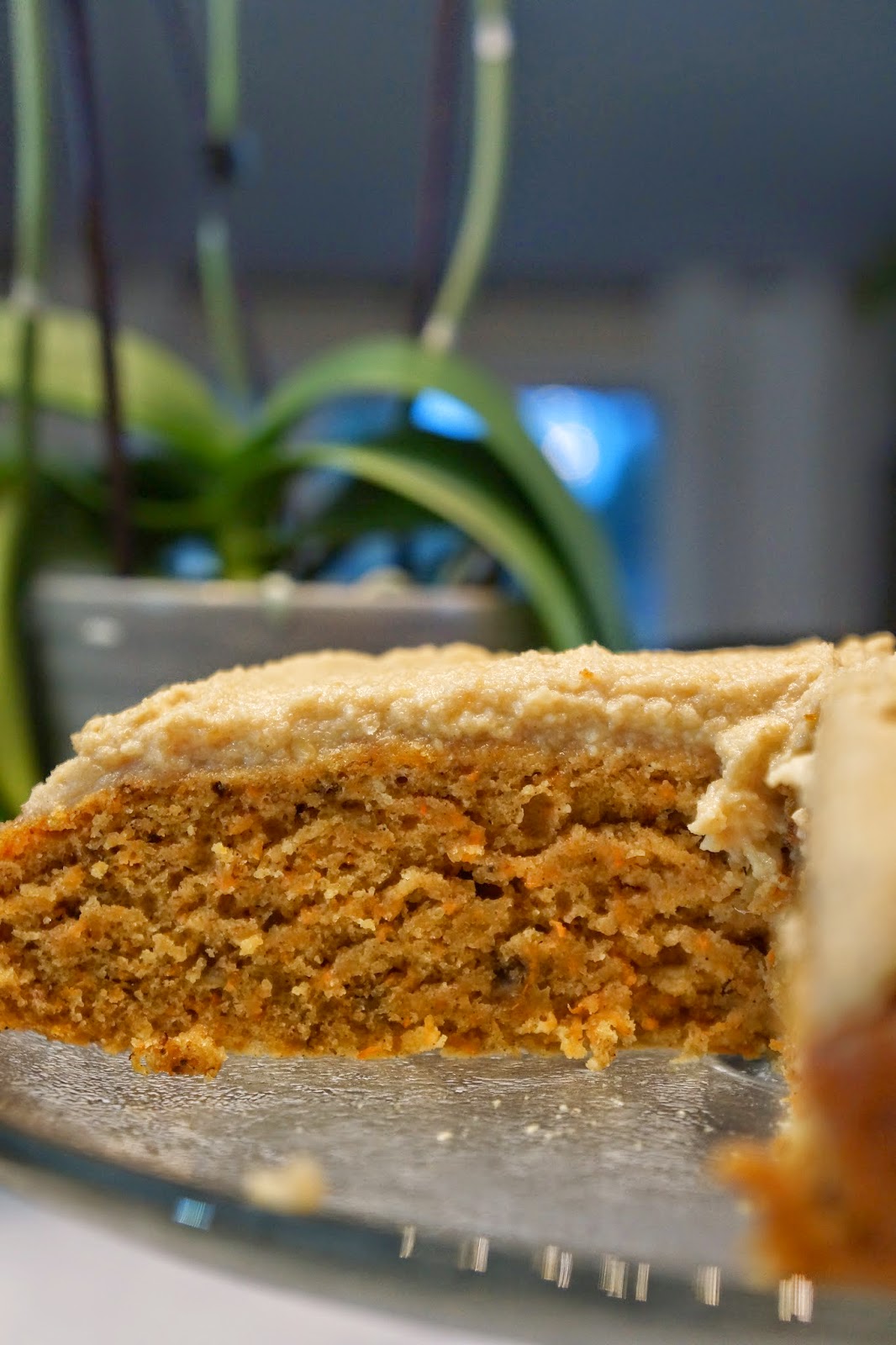 Brown sugar carrot cake with cashew cheese frosting Tera Solara