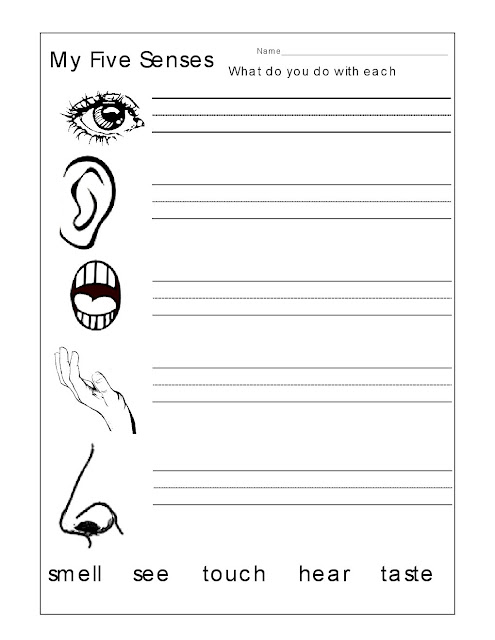 kindergarten worksheets kindergarten worksheets the senses tracing worksheets kindergarten worksheets letter tracing worksheets addition worksheets subtraction worksheets multiplication worksheets