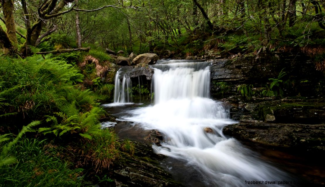 Tarlebøveien Tarlebøveien