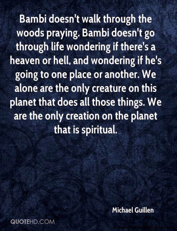 Michael Guillen Quotes QuoteHD Michael Guillen Quotes QuoteHD