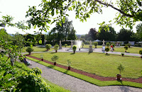 Rotes Laub Im Garten