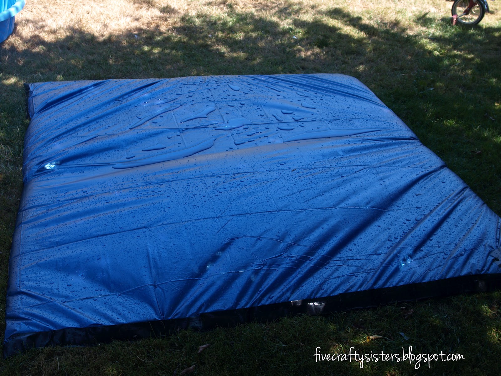 Five Crafty Sisters Sara Jane A Bavarian Feast and Outdoor Waterbed