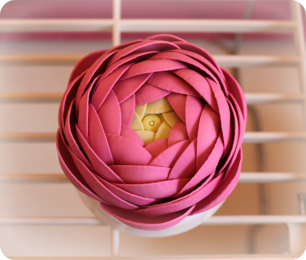 {Katie's Something Sweet} Hot Pink Sugar Ranunculus