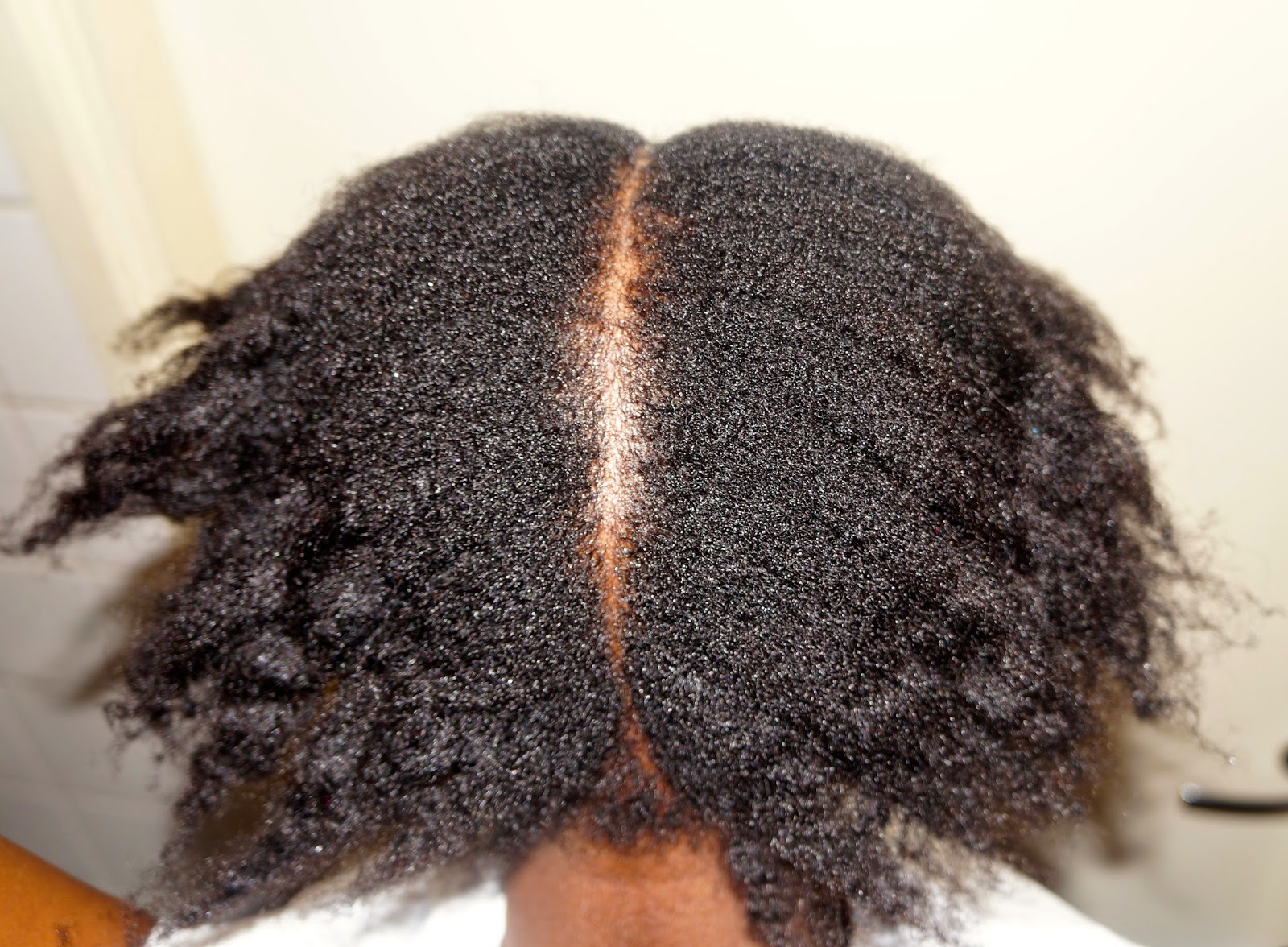 Christelle Kizola Two Braids On Short 4c Afro Hair