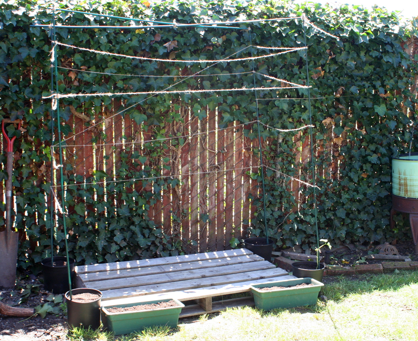 Lilliedale Building a Bean Fort