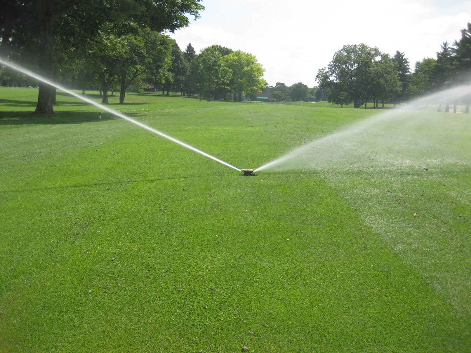 turfgrass irrigation