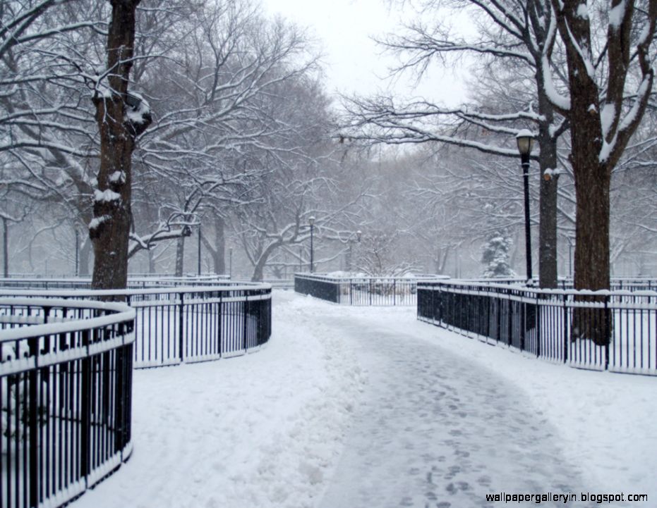 Square Park Snow Wallpaper HD 7187 Wallpaper Square Park Snow Wallpaper HD 7187 Wallpaper
