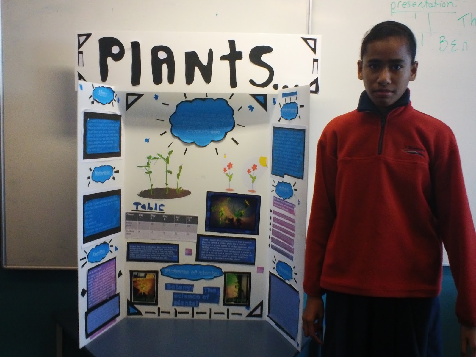 Reremoana Room 11 My Science Fair Project By Finau.