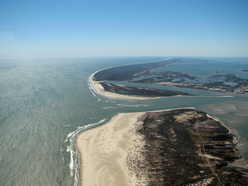 Life in the Slow Lane (The Pearl) Jan. 24 Matagorda Island, TX