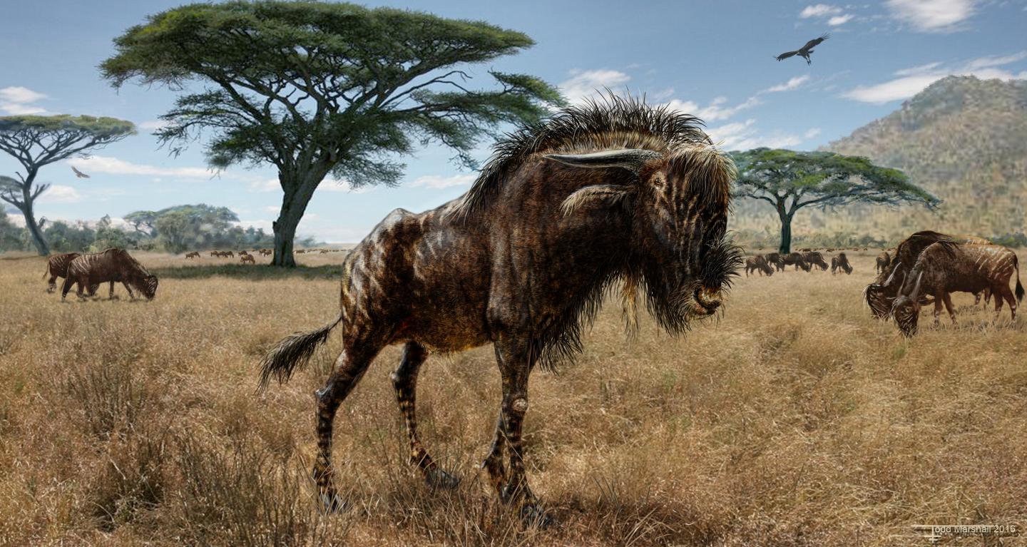 The Dragon's Tales: Rusingoryx Atopocranion: The Pleistocene - 1440x767 - jpeg Quaternary Animals