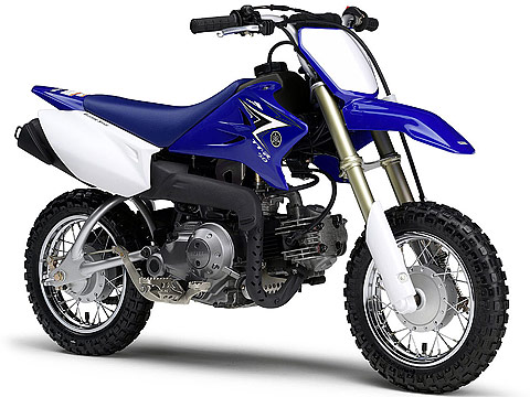 2011 YAMAHA TT-R50E