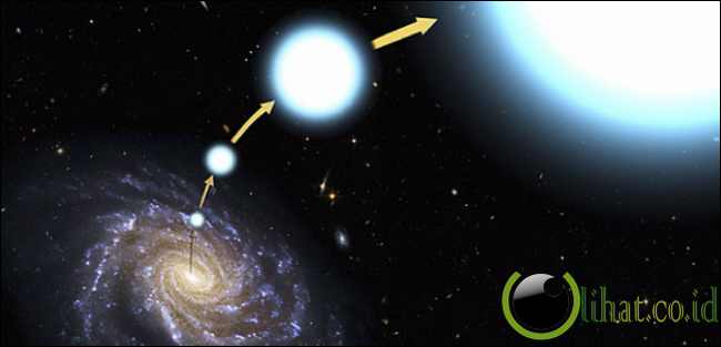 Bintang Jatuh Yang Sebenarnya Bintang Jatuh Yang Sebenarnya