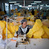 Φωτογραφίες ημέρας: Οι εκατοντάδες κοπτοραπτούδες της Κίνας που ετοιμάζουν νυχθημερόν και πυρετωδώς τις κίτρινες στολές για την προστασία από τον Έμπολα! (φωτό)
