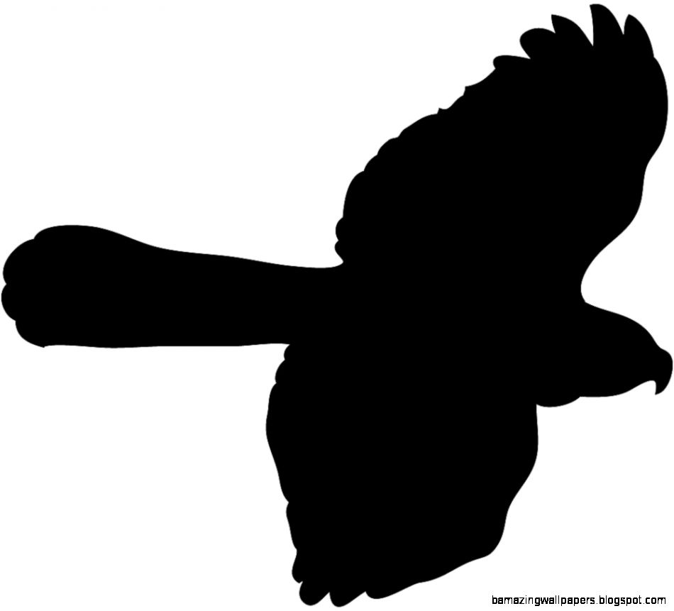 Flying Bird Outline Flying Bird Outline