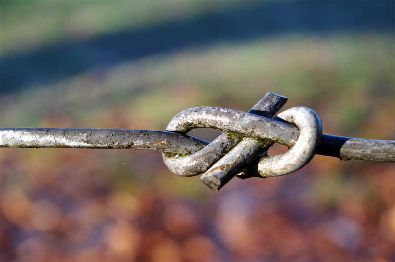 A Spoonful of Country Terms and phrases