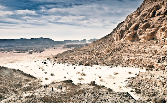 BedouinGuides%2526Camels_DesertTrek_WadiRazarah_SouthSinai-6862_V2.jpg