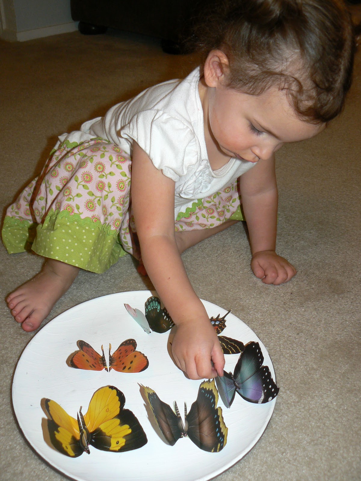 Having Fun at Home Butterfly Symmetry Matching Game