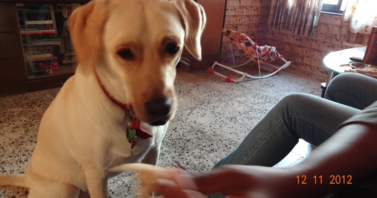 Wordless(?) Wednesday