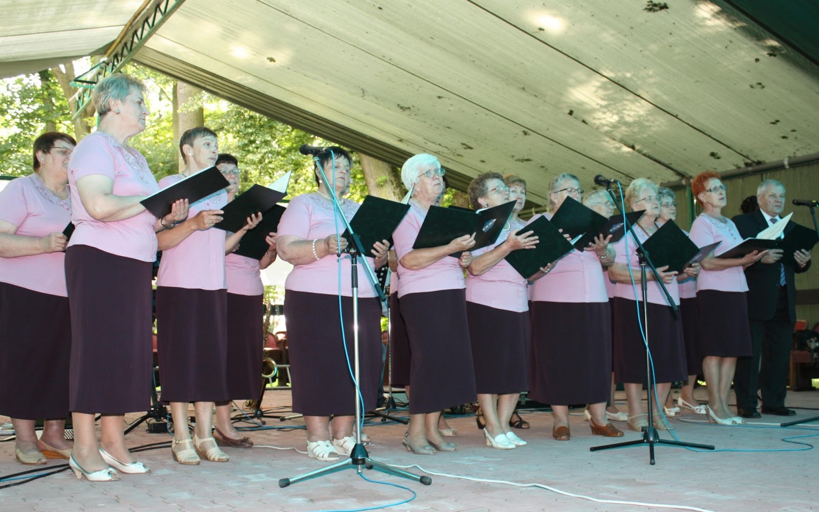 Paweł W. Płócienniczak Festiwal Rozśpiewany Senior Baszków DPS 29