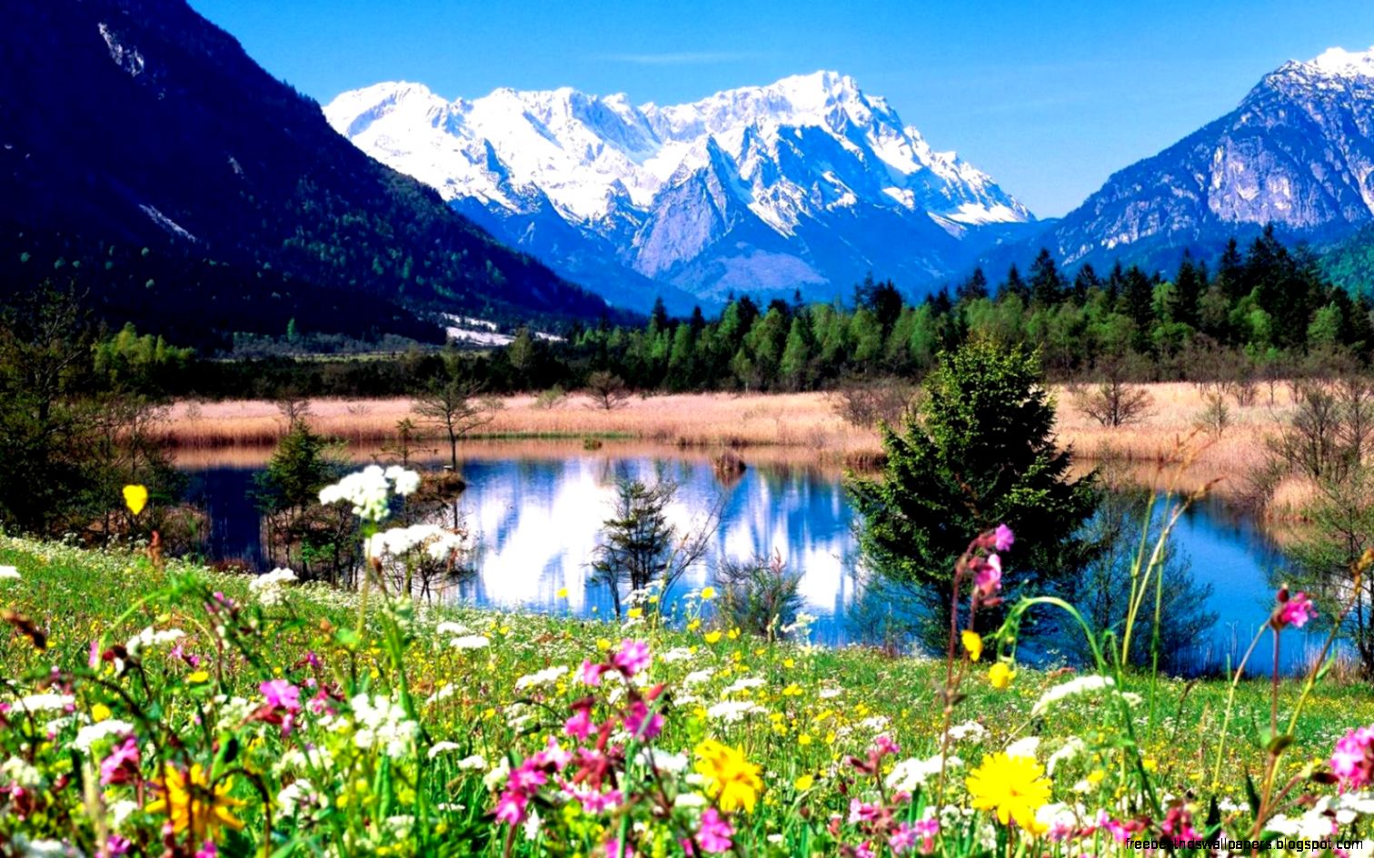 Spring HD wallpaper 1680x1050 For 19 inch Widescreen405 Spring HD wallpaper 1680x1050 For 19 inch Widescreen405