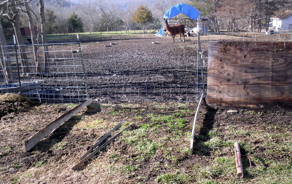 Spinning Dreams and Weaving Yarns Hoop houses for sheep shelters