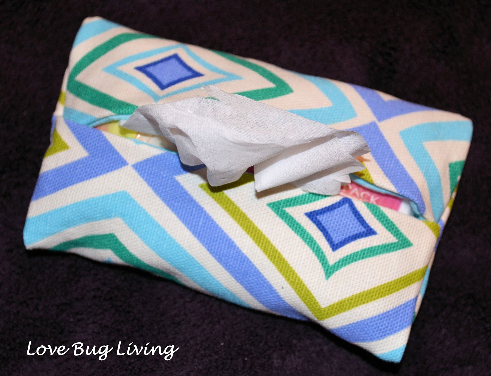 Love Bug Living Pocket Tissue Holder